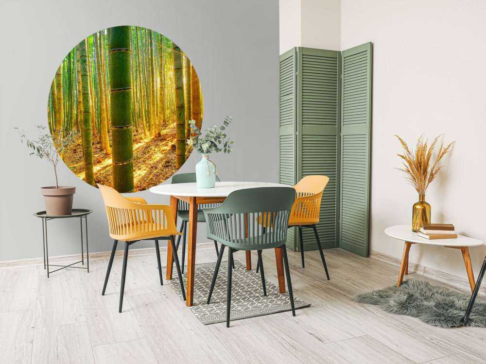 Las bambusowy o wschodzie słońca