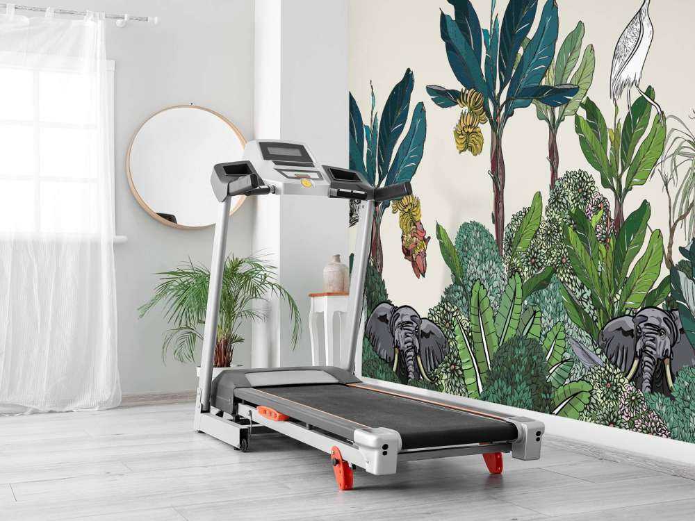 Panorama dżungli z zwierzętami