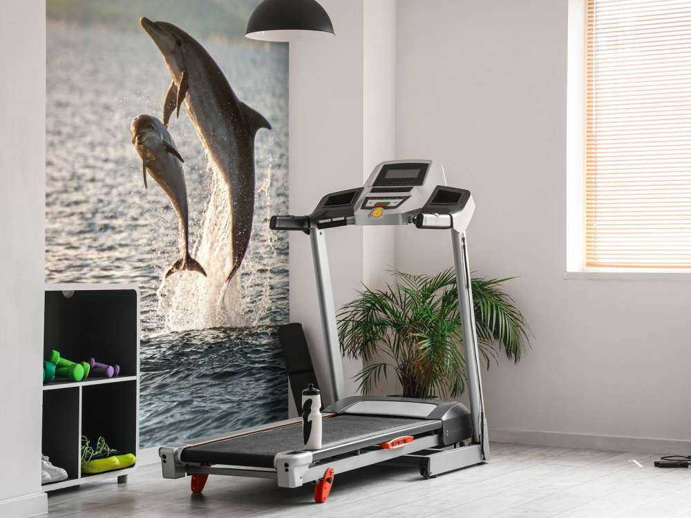 Dwa skaczące delfiny