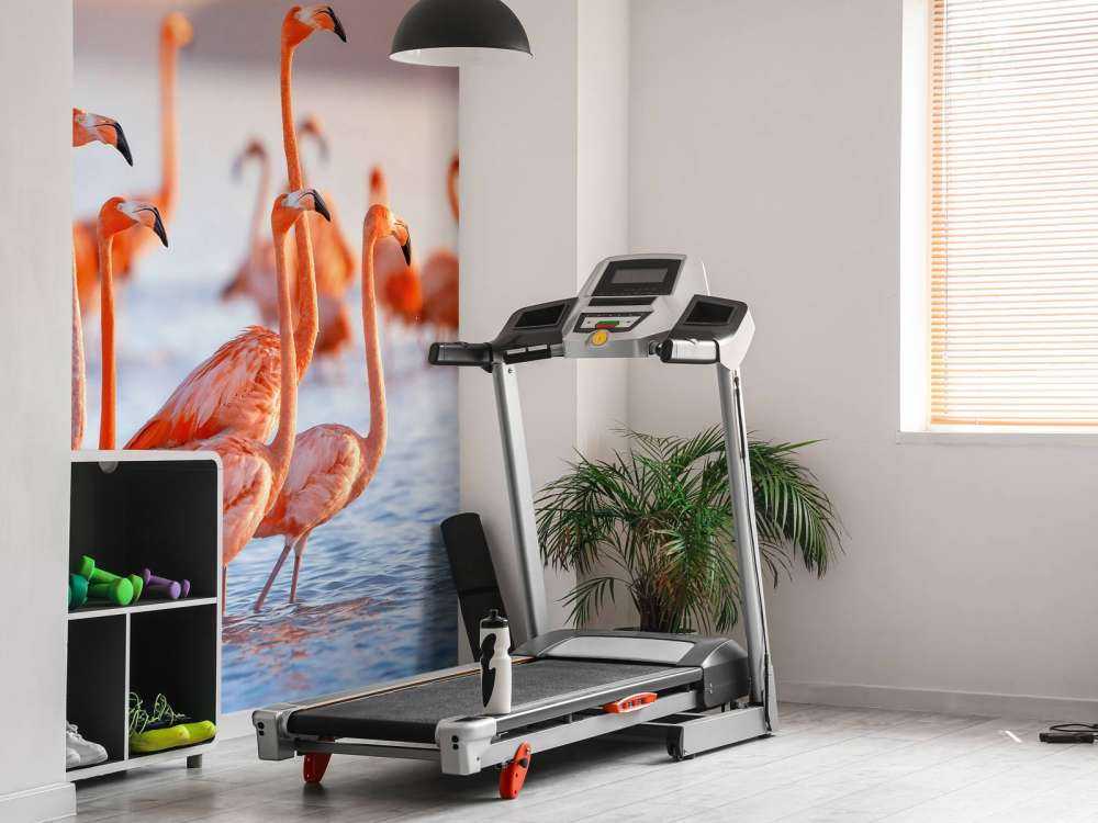 Gapiące się flamingi