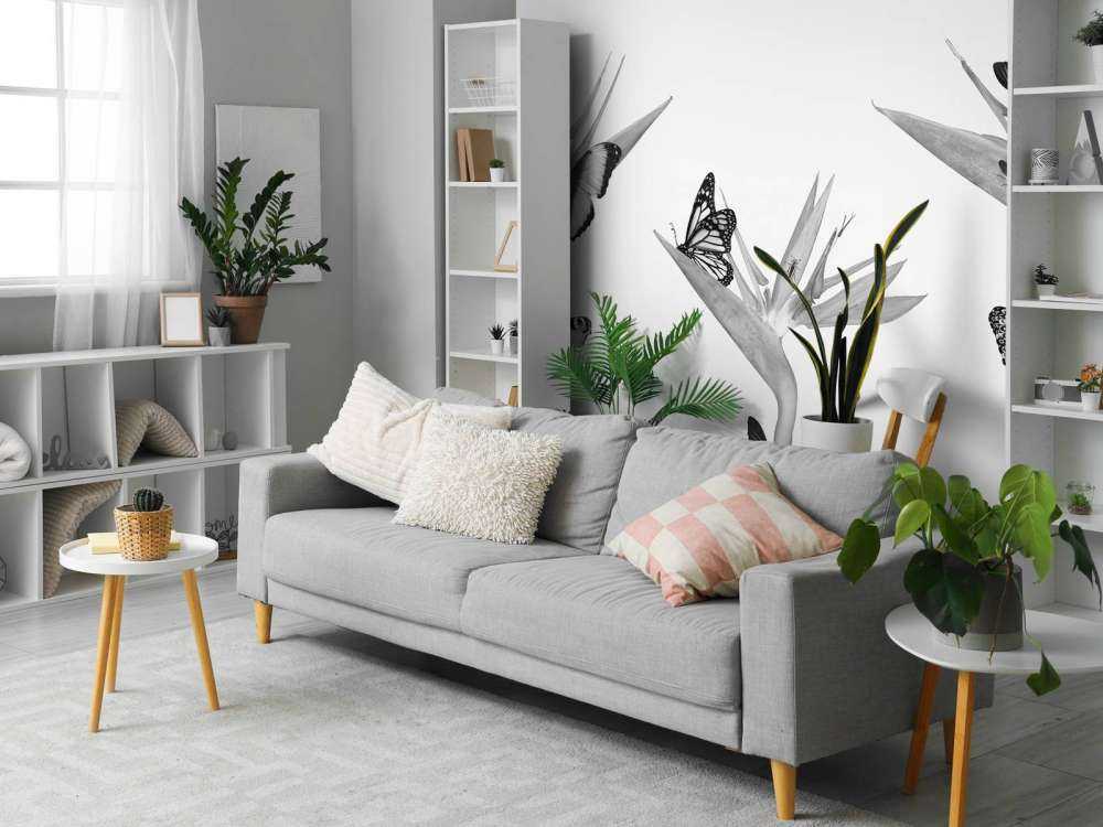 Motyle na rajskich kwiatach