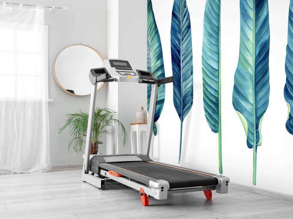 Tropikalne liście na białym tle