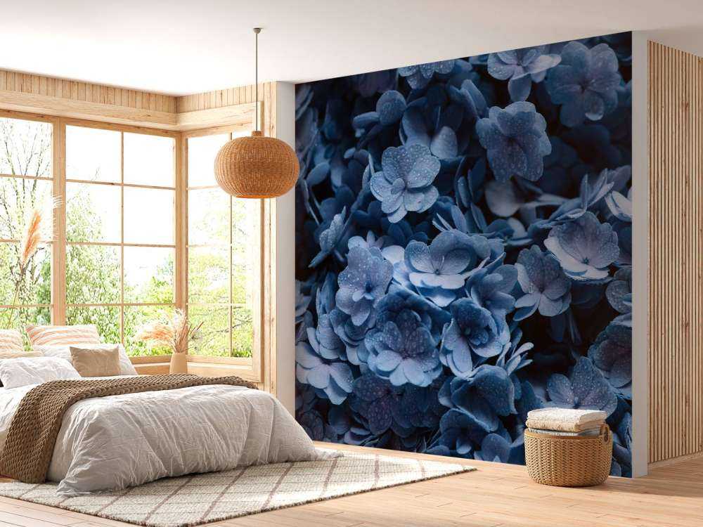 Błękitne hortensje w zbliżeniu