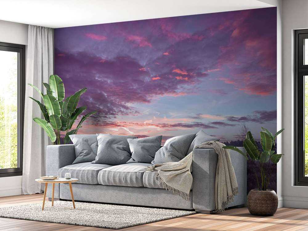 Łąka pod pochmurnym niebem