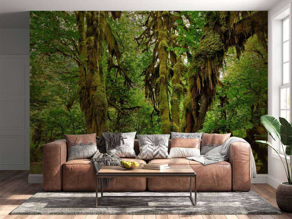 Stary las na pustyni