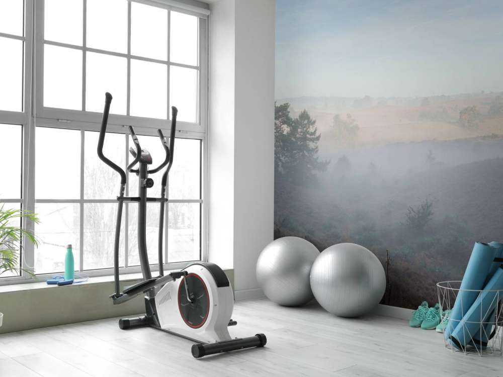 Mgła na wrzosowisku