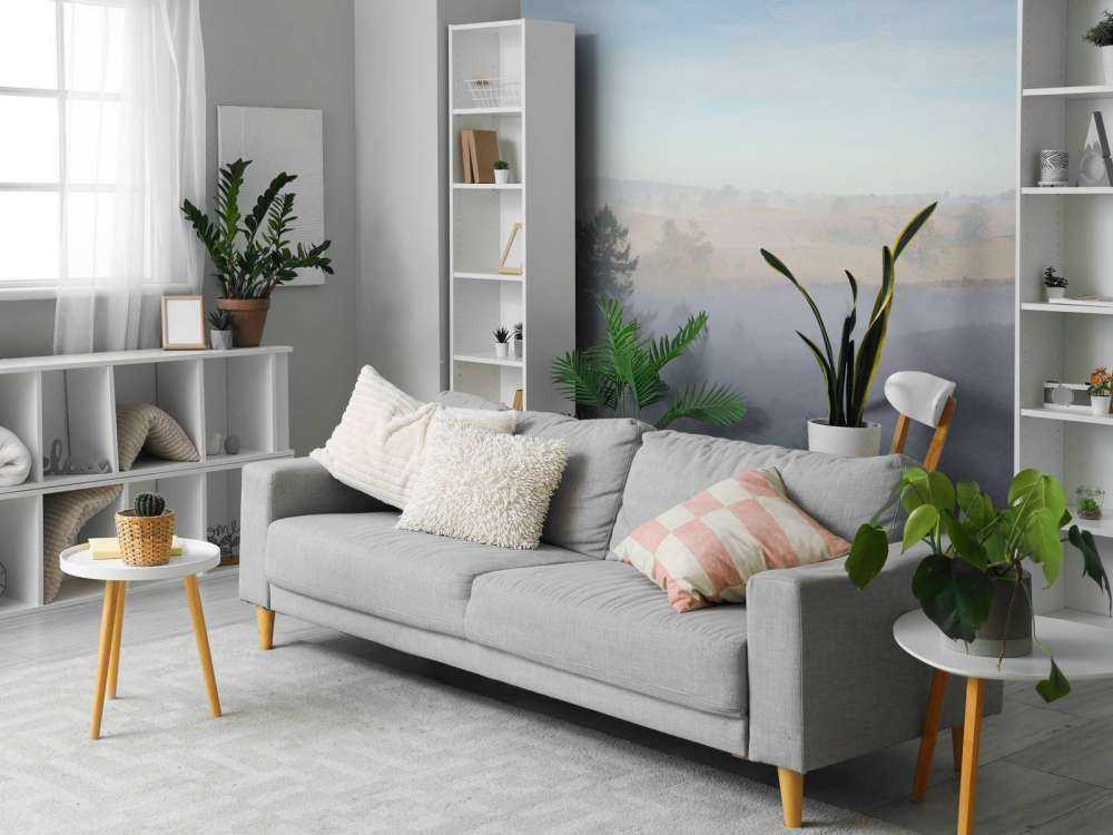 Mgła na wrzosowisku