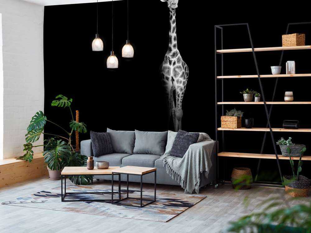 Żyrafa czarno-biała