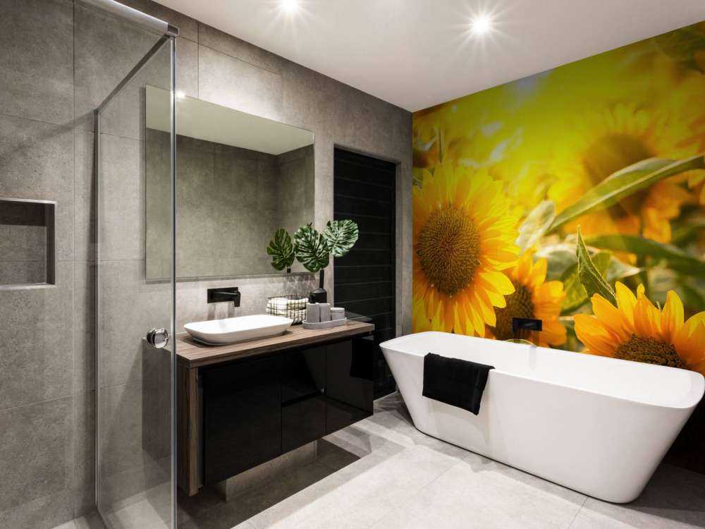 Słoneczniki i słońce