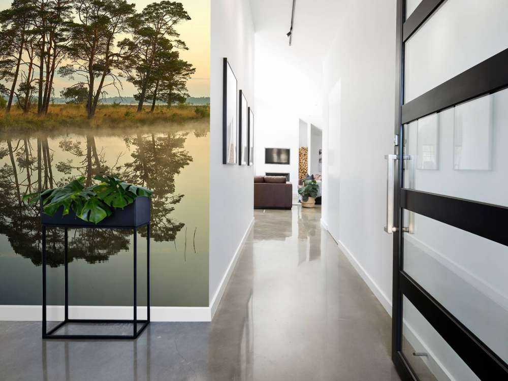 Odbicie w żyłach leśnych