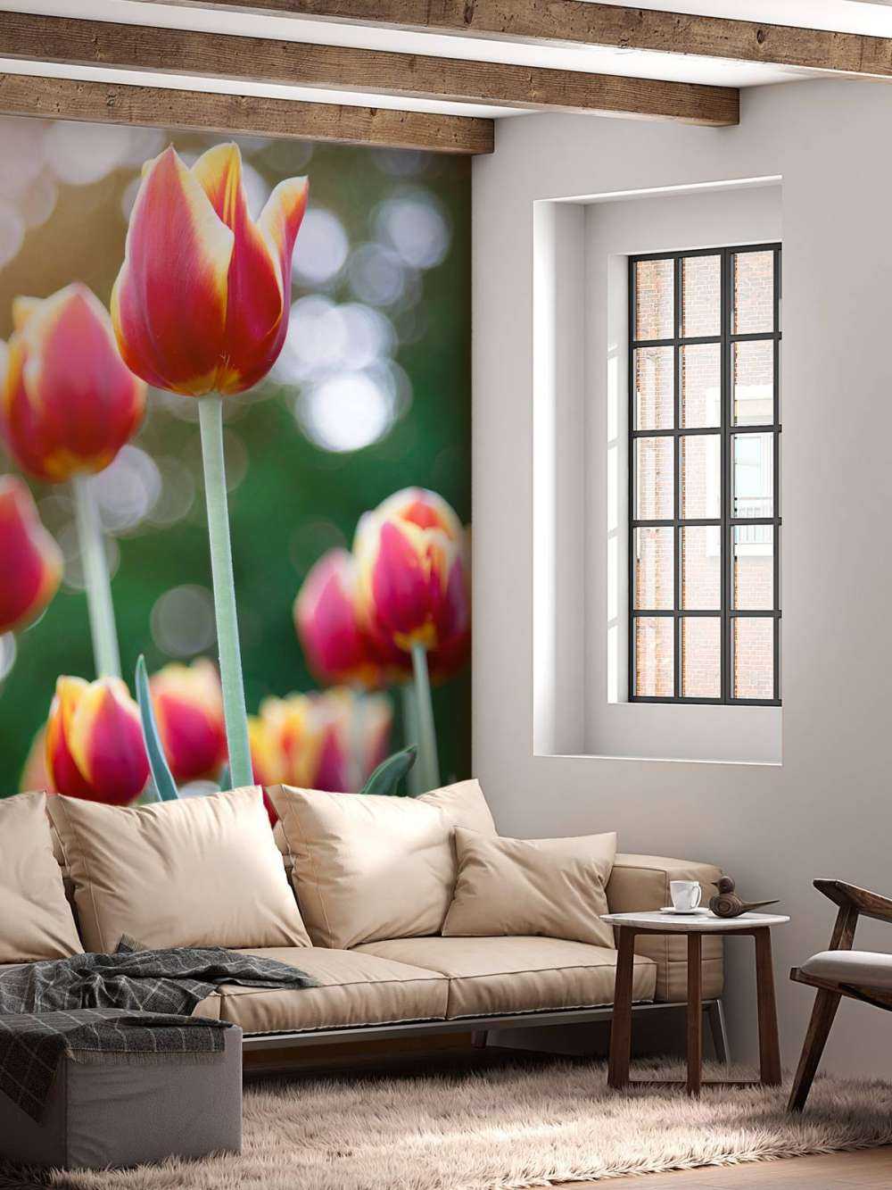 Czerwony z żółtymi tulipanami