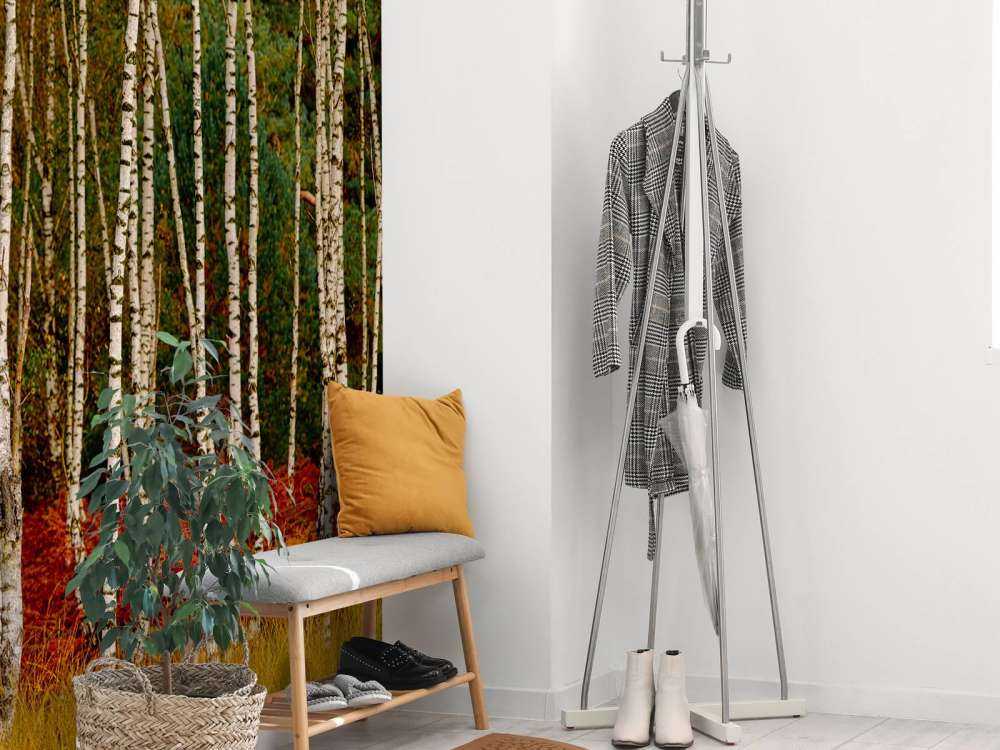 Brzozy na skraju lasu