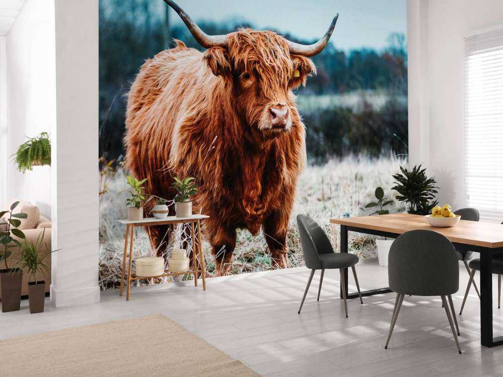 Szkocki wyżyn w lesie