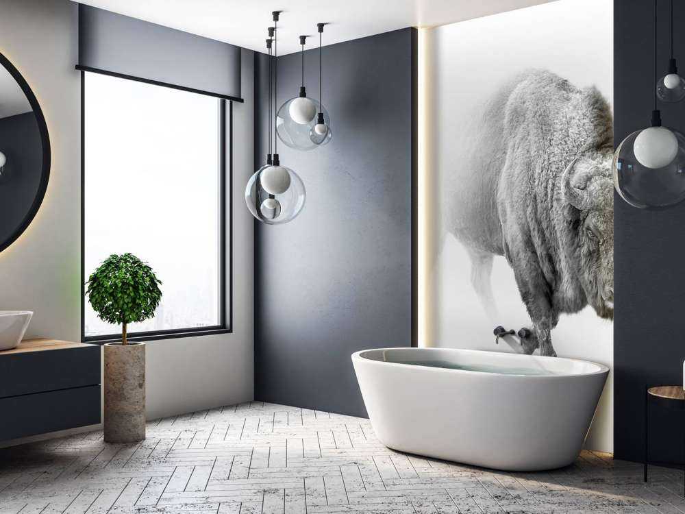 Żubr czarny i biały