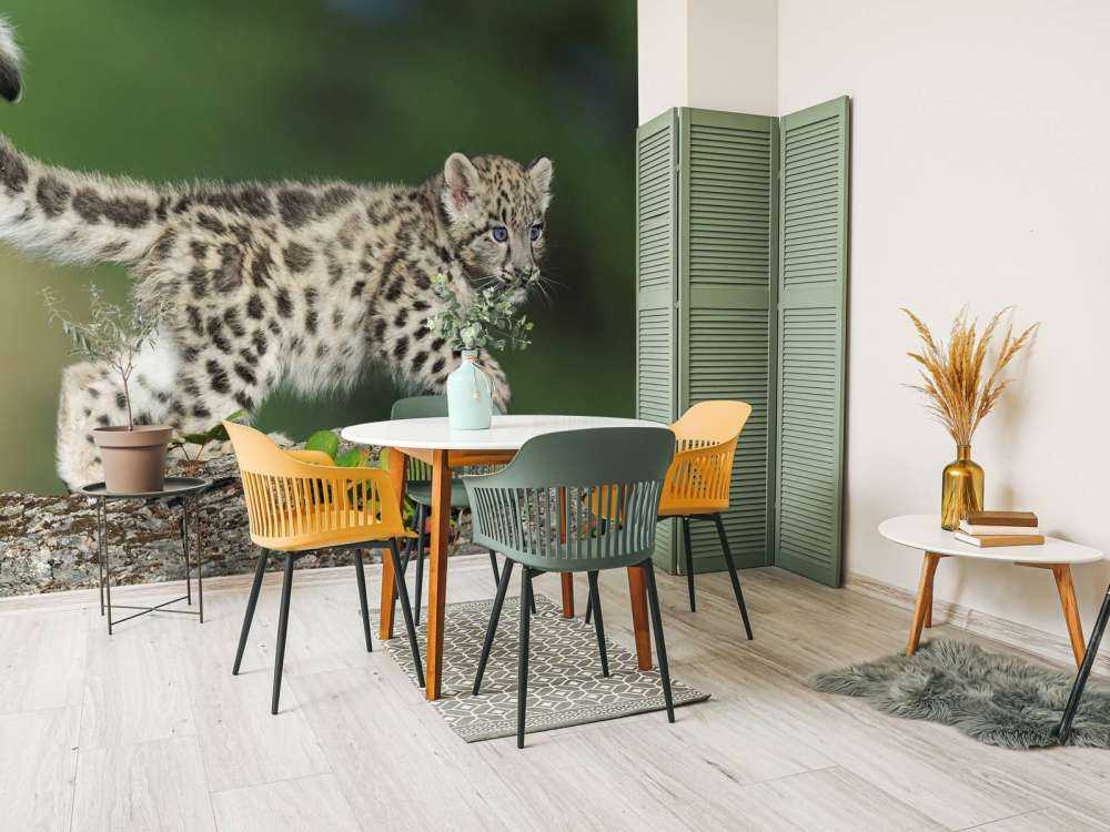 Młode pantery śnieżnej