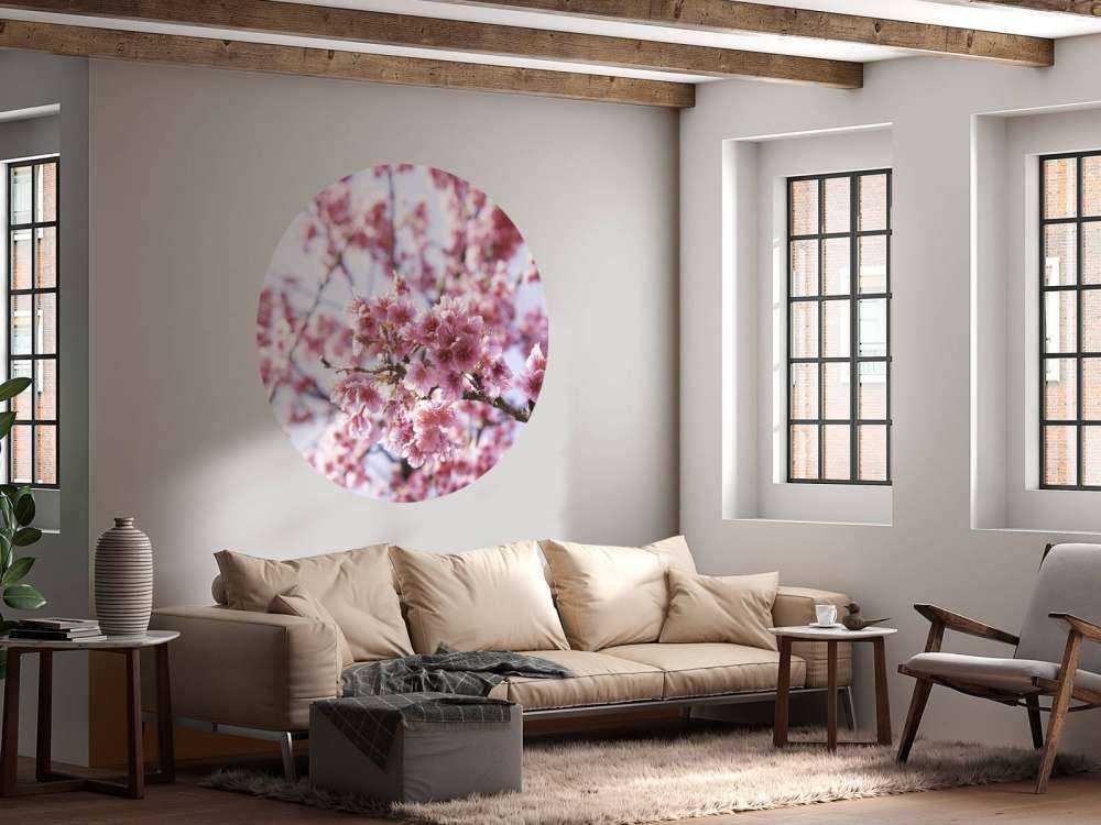 Zbliżenie na różowego kwiatka