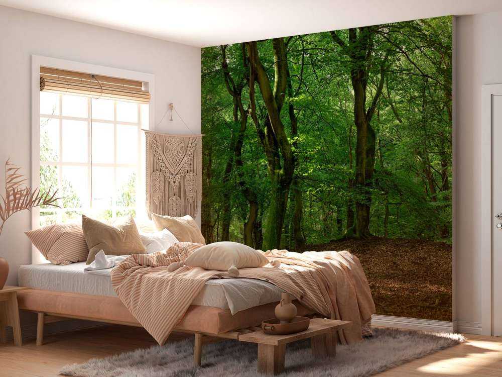 Drzewa z zielonymi liśćmi 