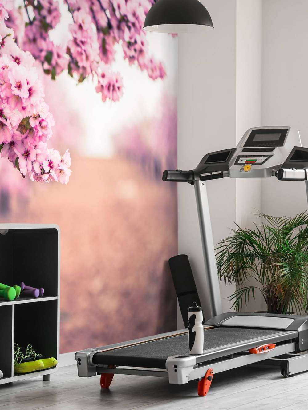 Fioletowe kwiaty japońskie