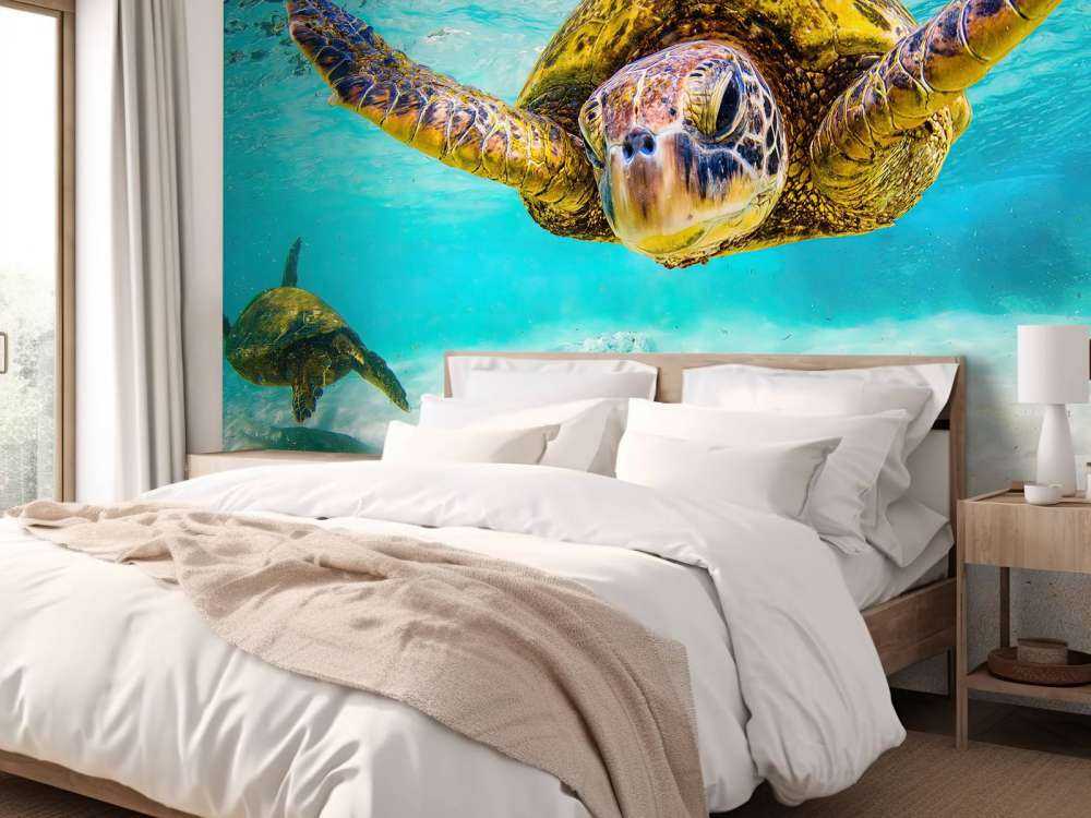 Żółw morski w oceanie