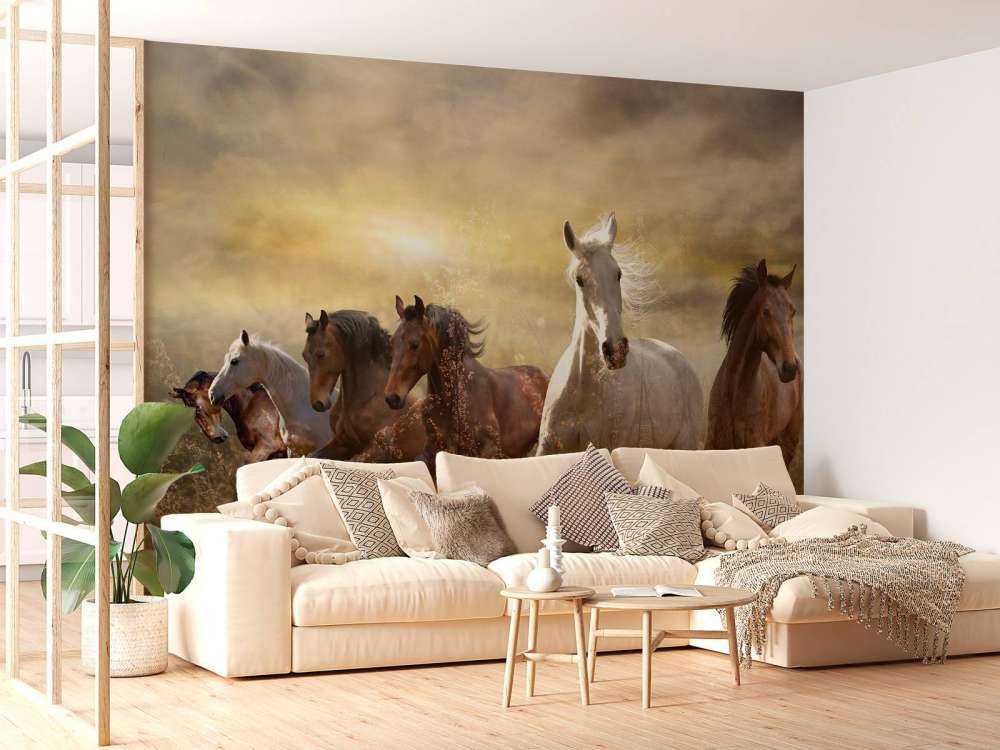 Konie galopujące o zachodzie słońca