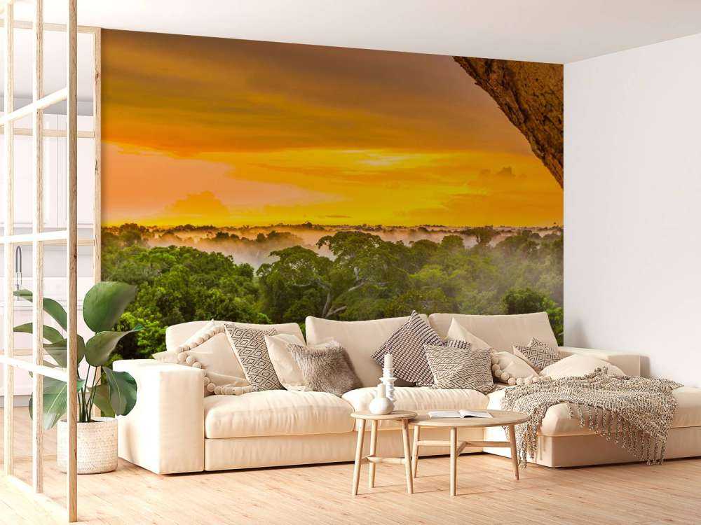 Las deszczowy w Brazylii