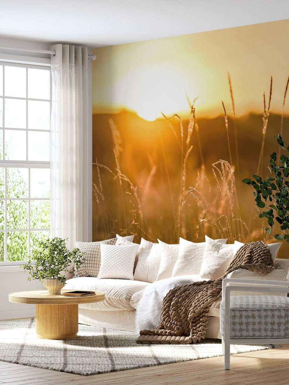 Zachód słońca między ziarnami