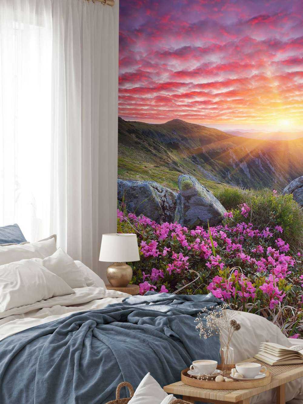 Fioletowy zachód słońca