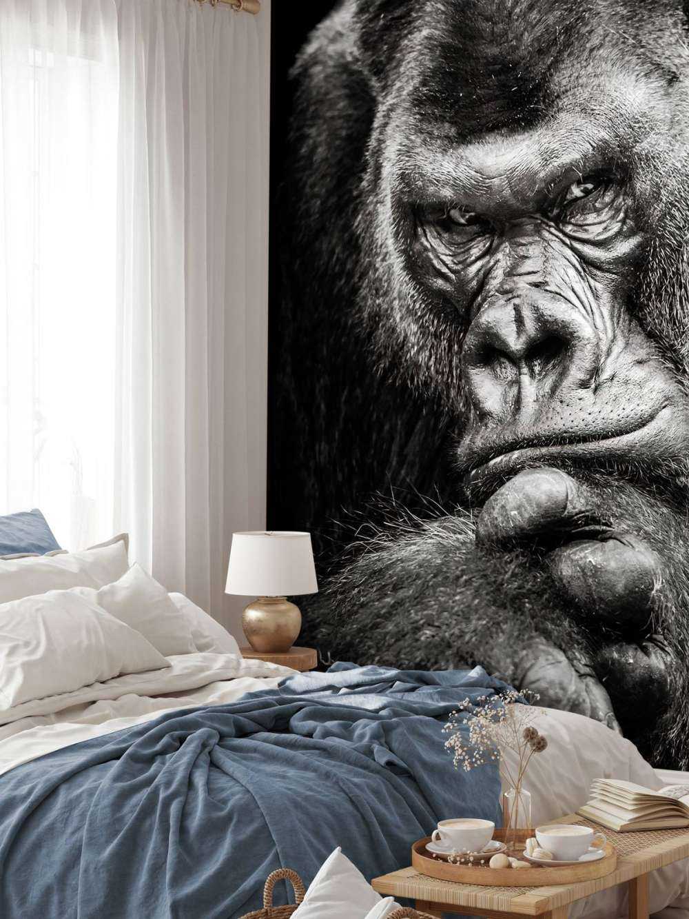 Zbliżone zdjęcie goryla