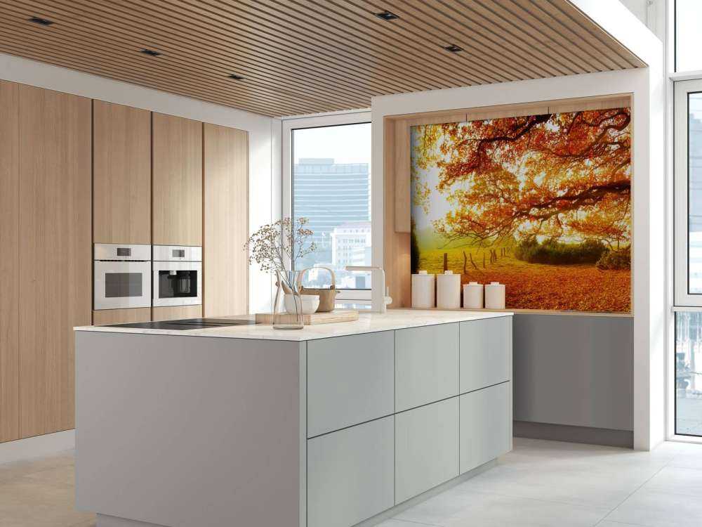 Jesienny krajobraz z lasem i łąką