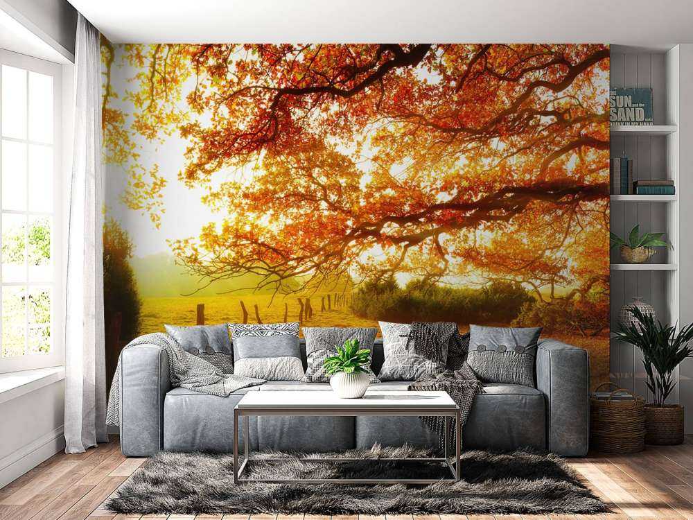 Jesienny krajobraz z lasem i łąką