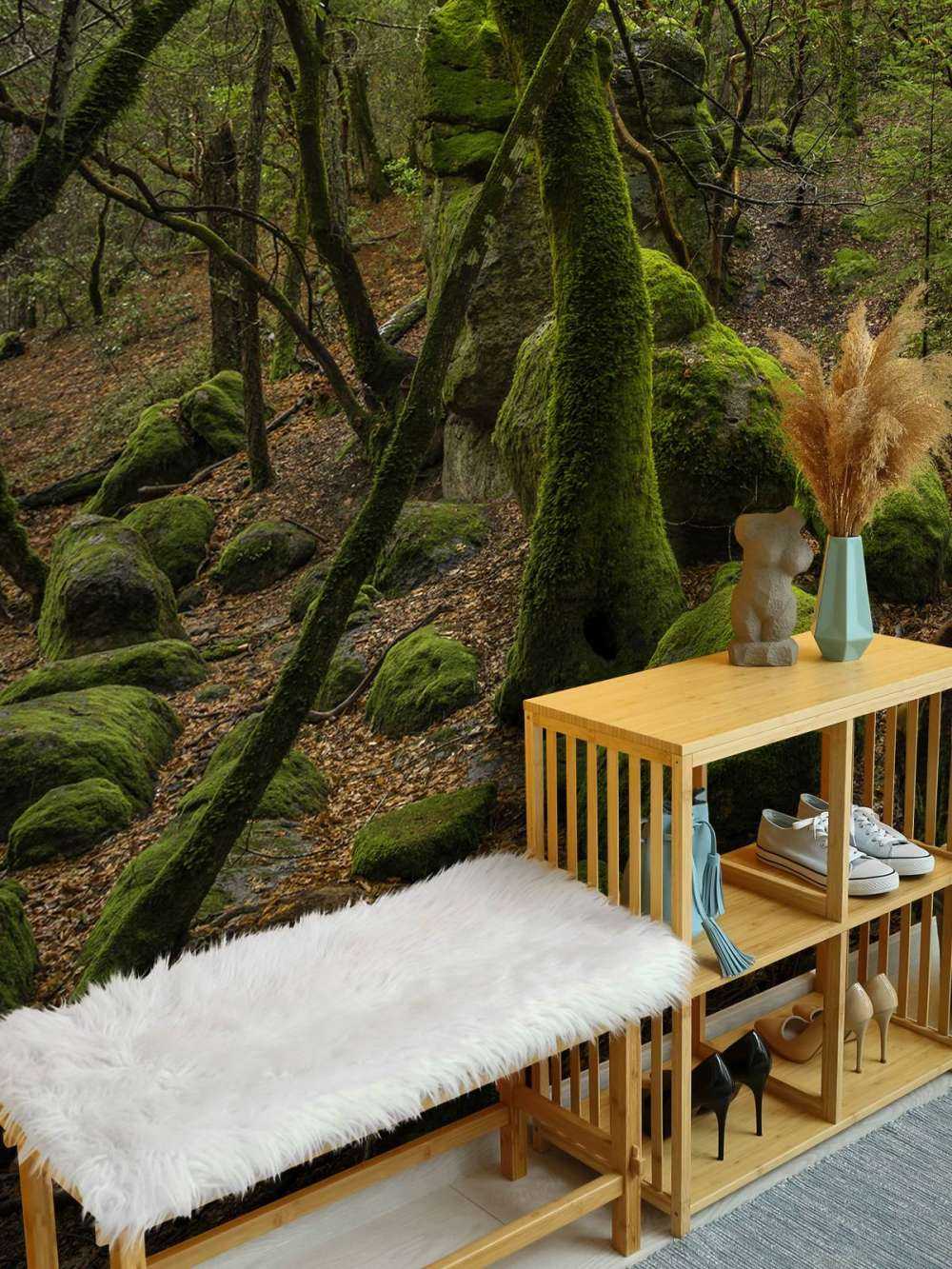 Drzewa i kamienie mchowe