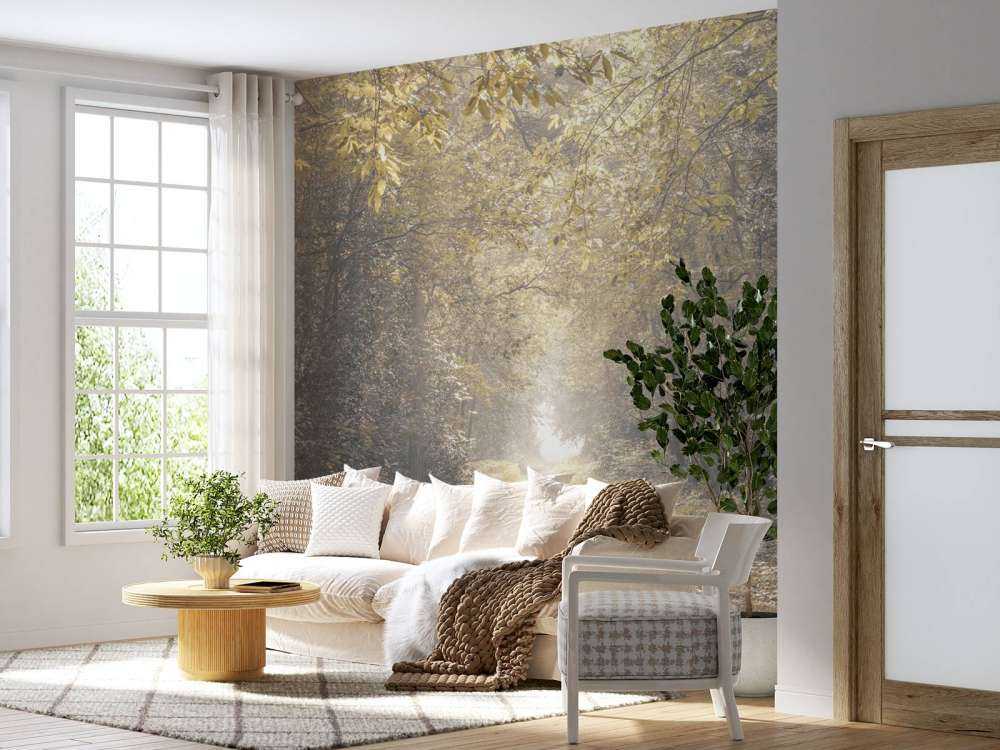 Ścieżka przez opuszczony las