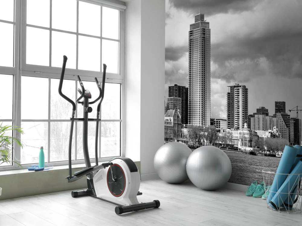 Skyline Rotterdamu (Westerkade) z Katendrecht (czarno-biały) 