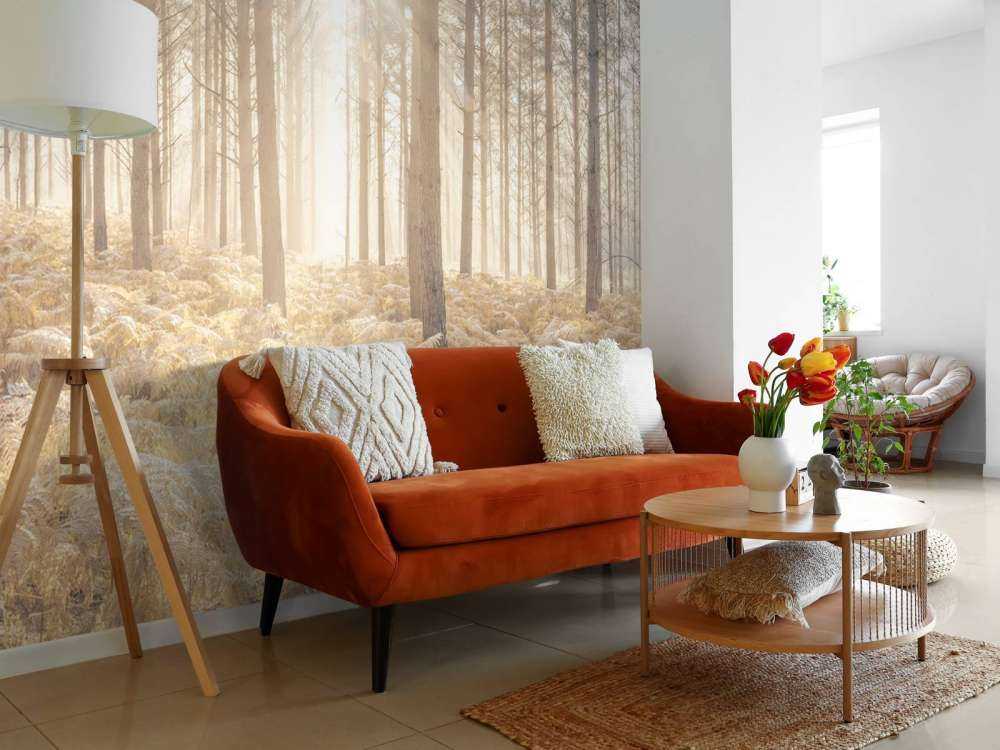 Promienie słońca w zimnym lesie