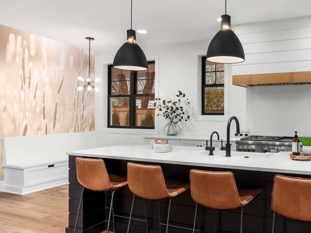 Światło słoneczne przez łąkę