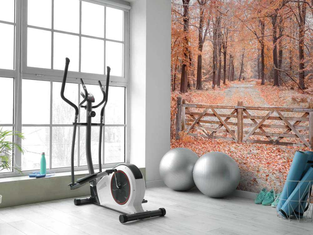 Przejście do jesiennego lasu