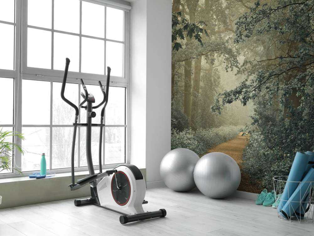 Ścieżka przez las z mgłą