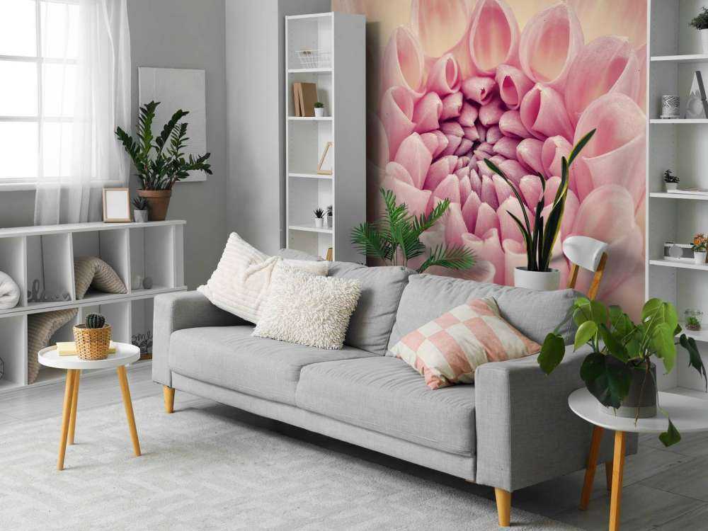 Zdjęcie z bliska dalii