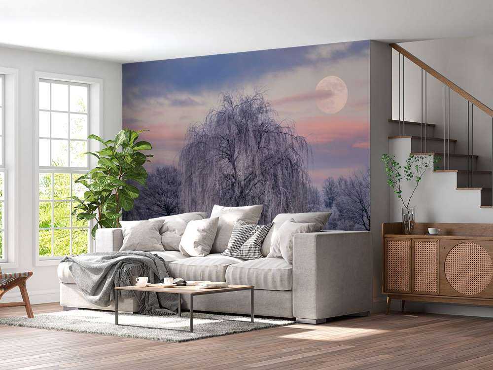 Drzewo pokryte mrozem