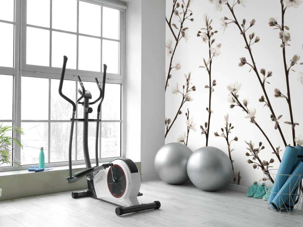 Gałęzie kwiatów wiśni