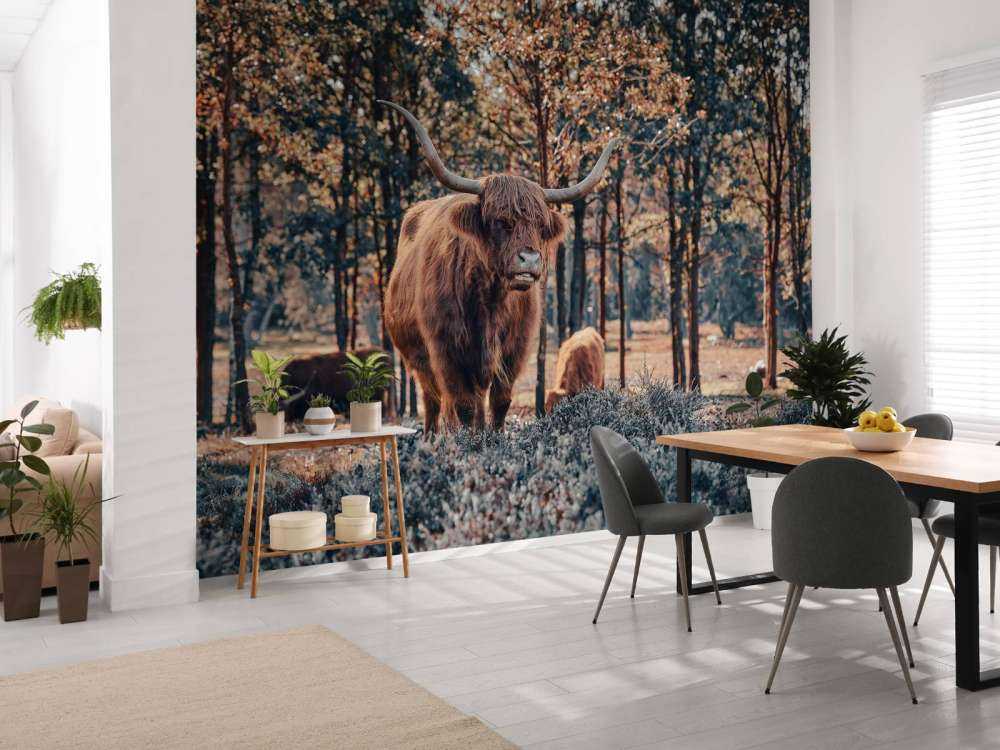 Szkocki góral na skraju lasu