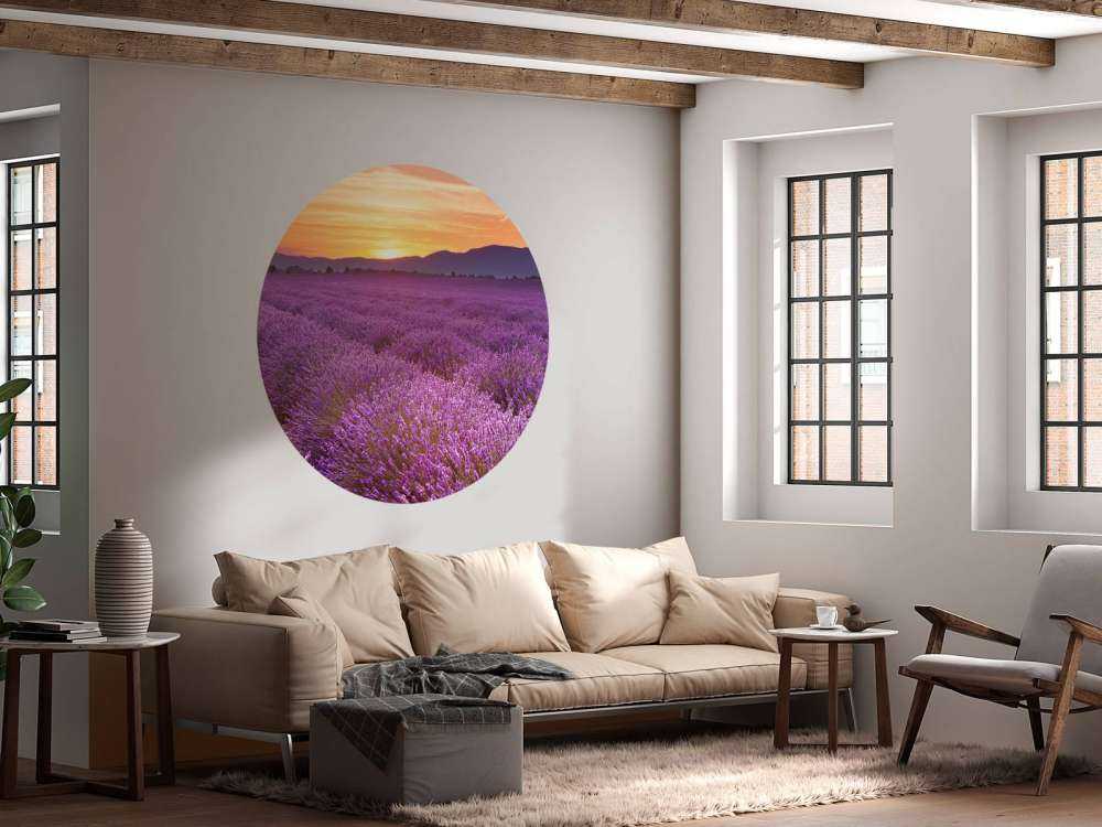 Pole pełne lawendy.