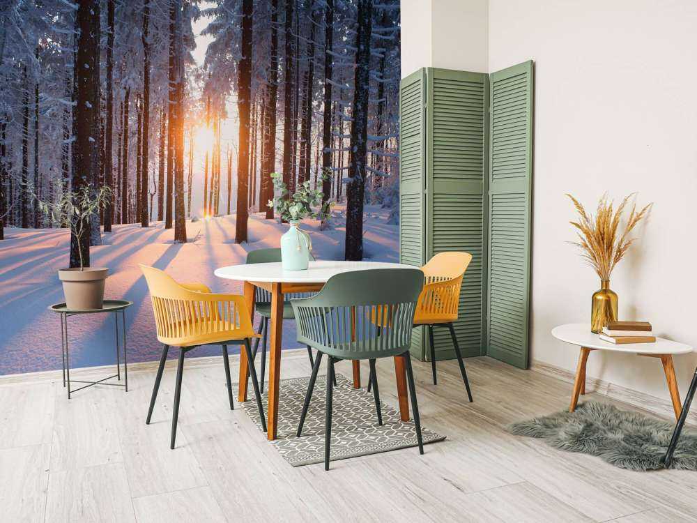 Zachód słońca w zimowym lesie