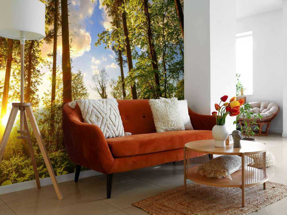 Zachód słońca wśród drzew