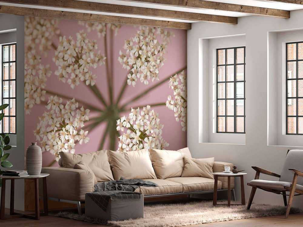 Pietruszka białej krowy