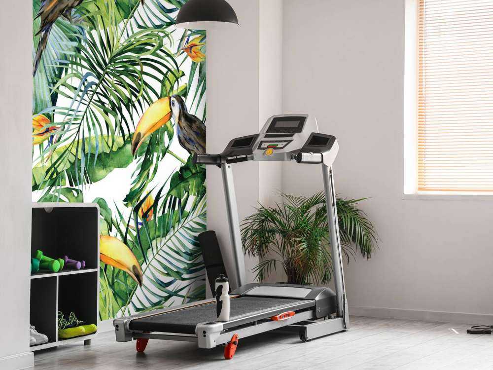 Tukan między liśćmi