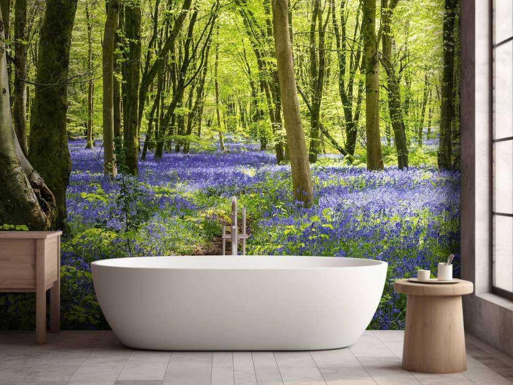 Las w blasku słońca