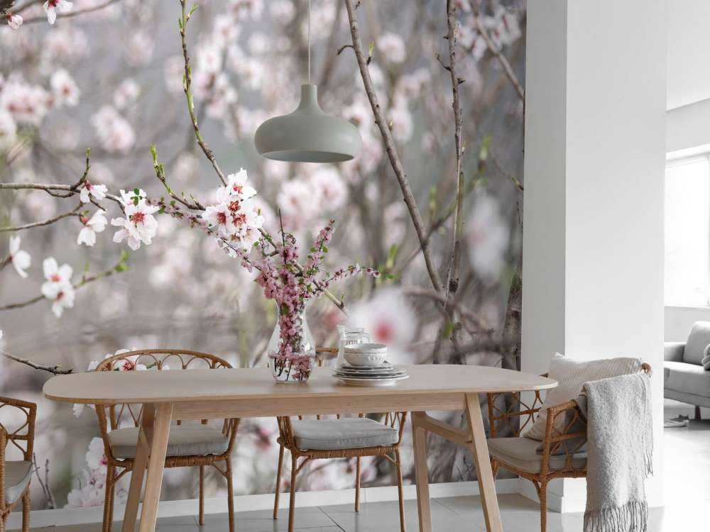 Różowo-białe kwiaty