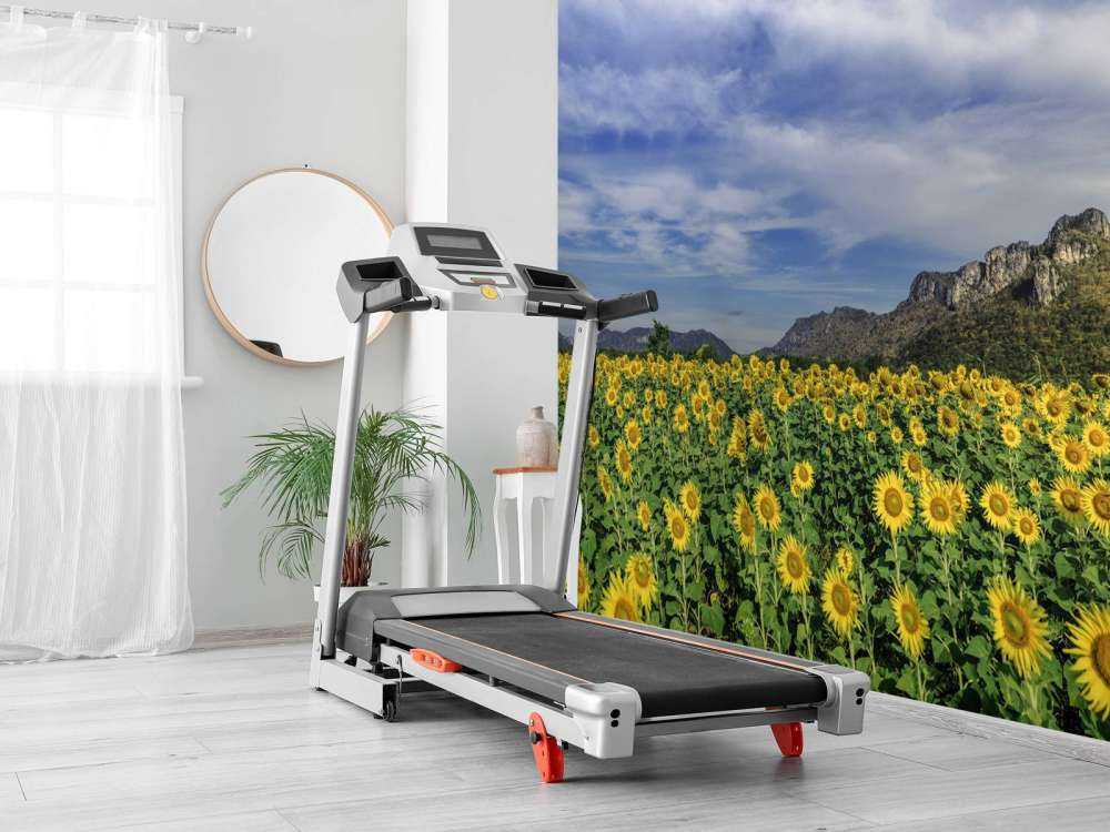 Pole kwitnące na żółto