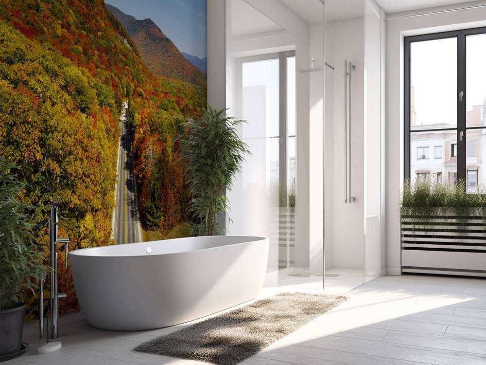 Droga przez jesienny krajobraz